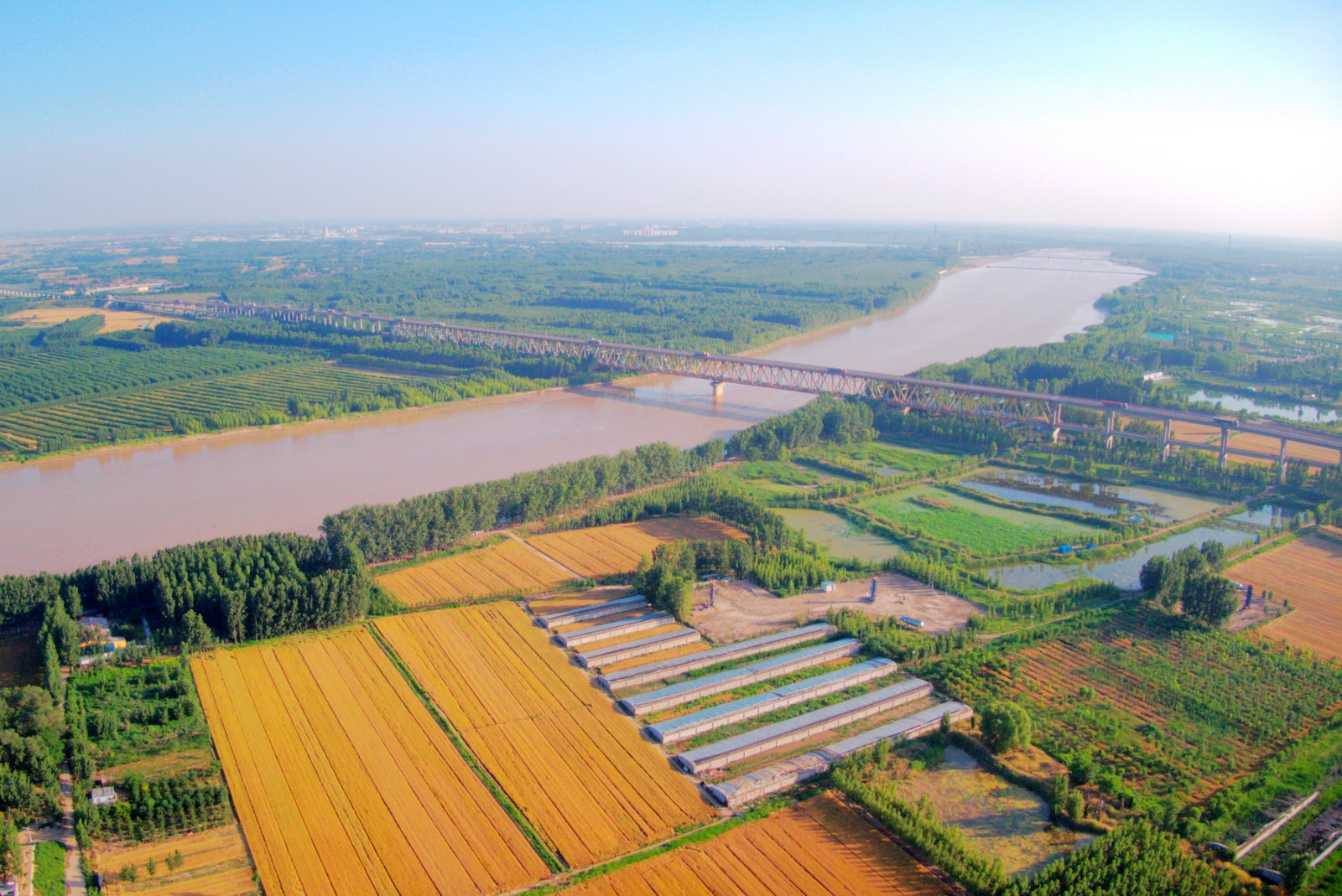 我家住在黄河畔