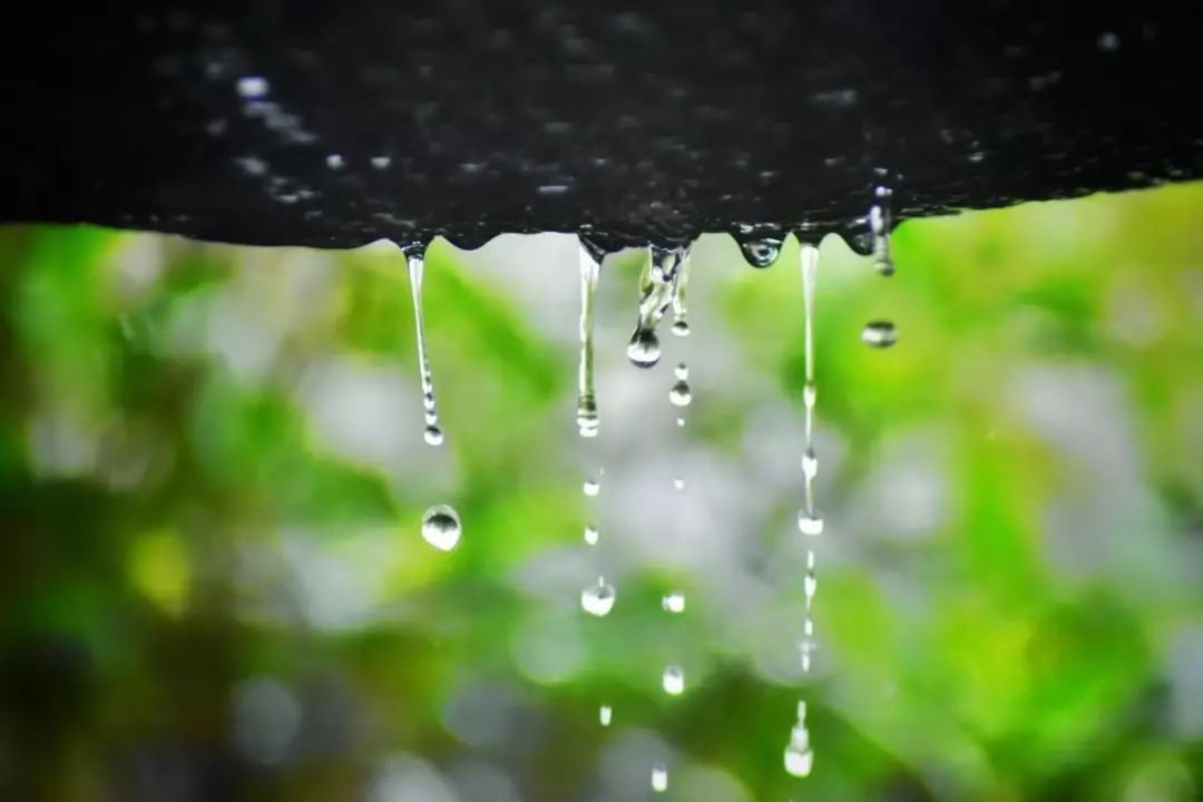 一場雨淋過六月的最後一天張店 駿青追日季節的雨迅疾而熱烈窗外雨