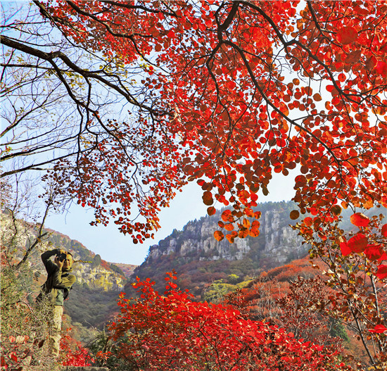 潍坊石门坊风景区图片