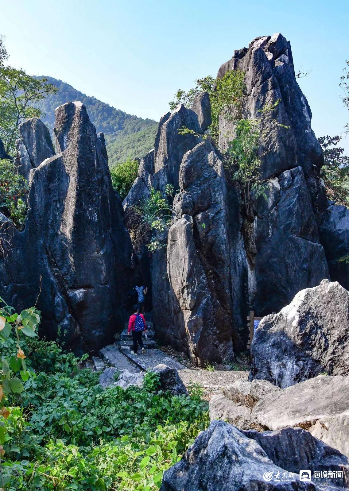 广西石林风景区图片