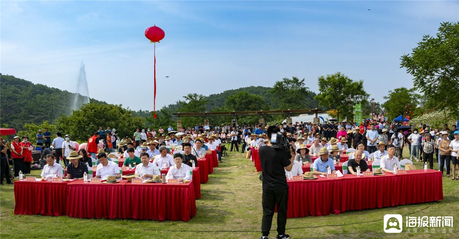 6月16日上午,在美丽的新泰市羊流镇泰山百合园,隆重举行2023泰山百合