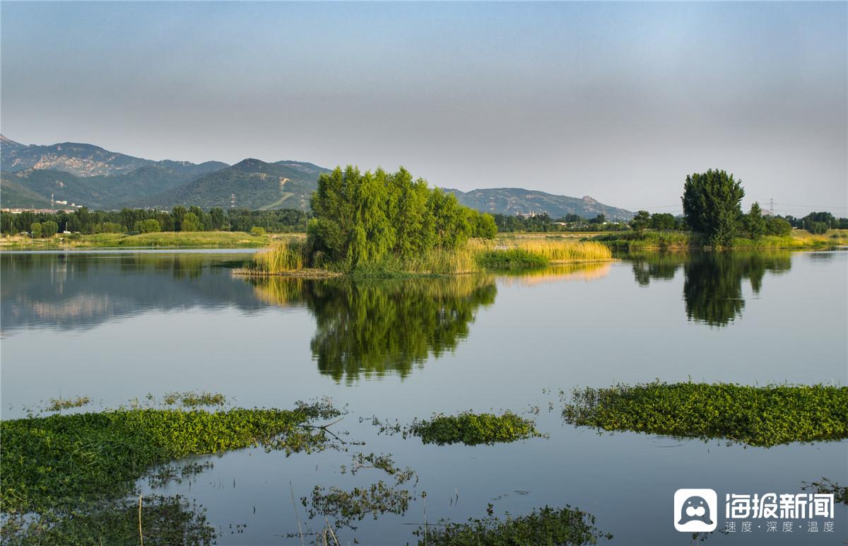 沂南汶河湿地公园照片图片