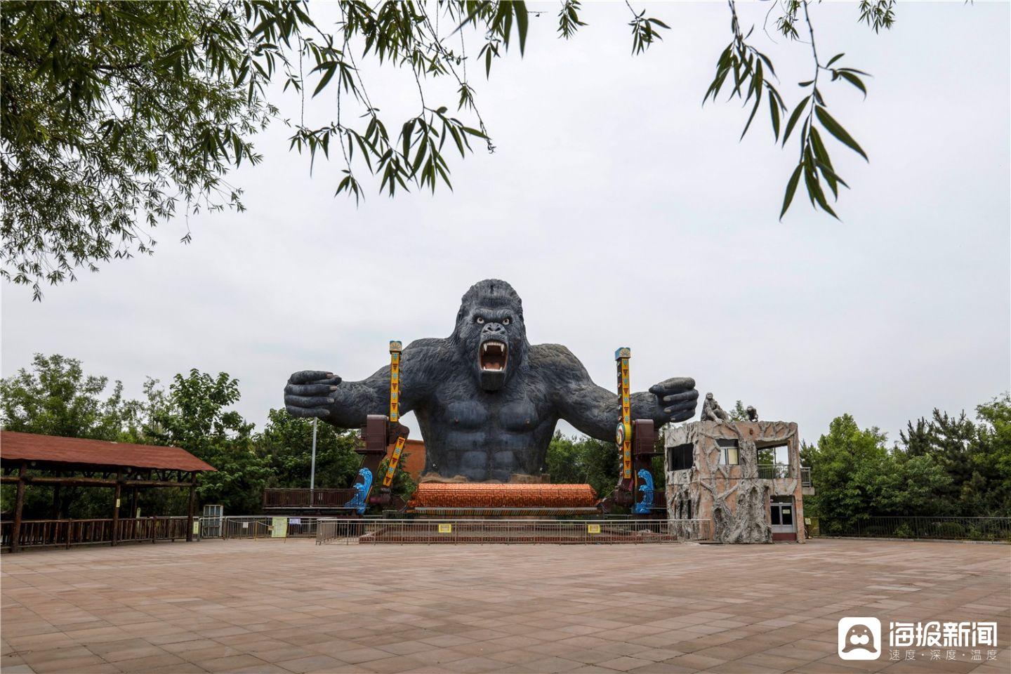 泰安太阳部落景区授牌摄影基地(二)