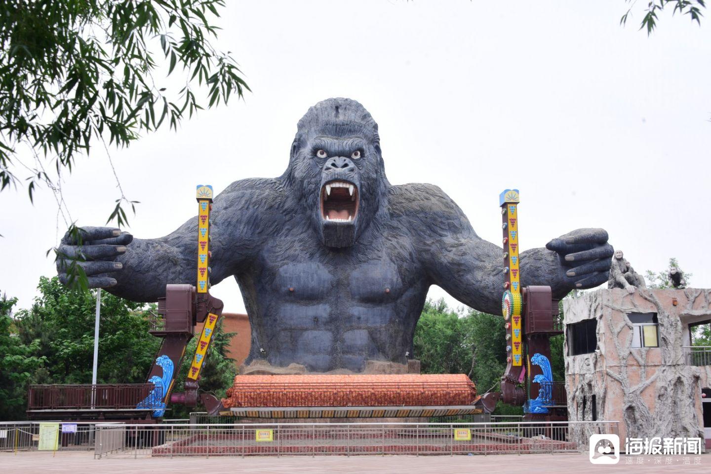 泰安太阳部落景区授牌摄影基地(七)