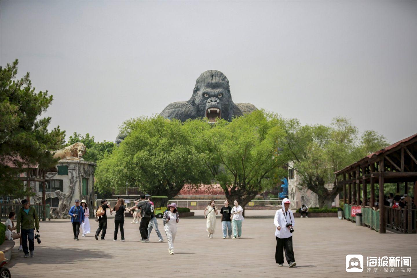 泰安太阳部落景区授牌摄影基地(九)