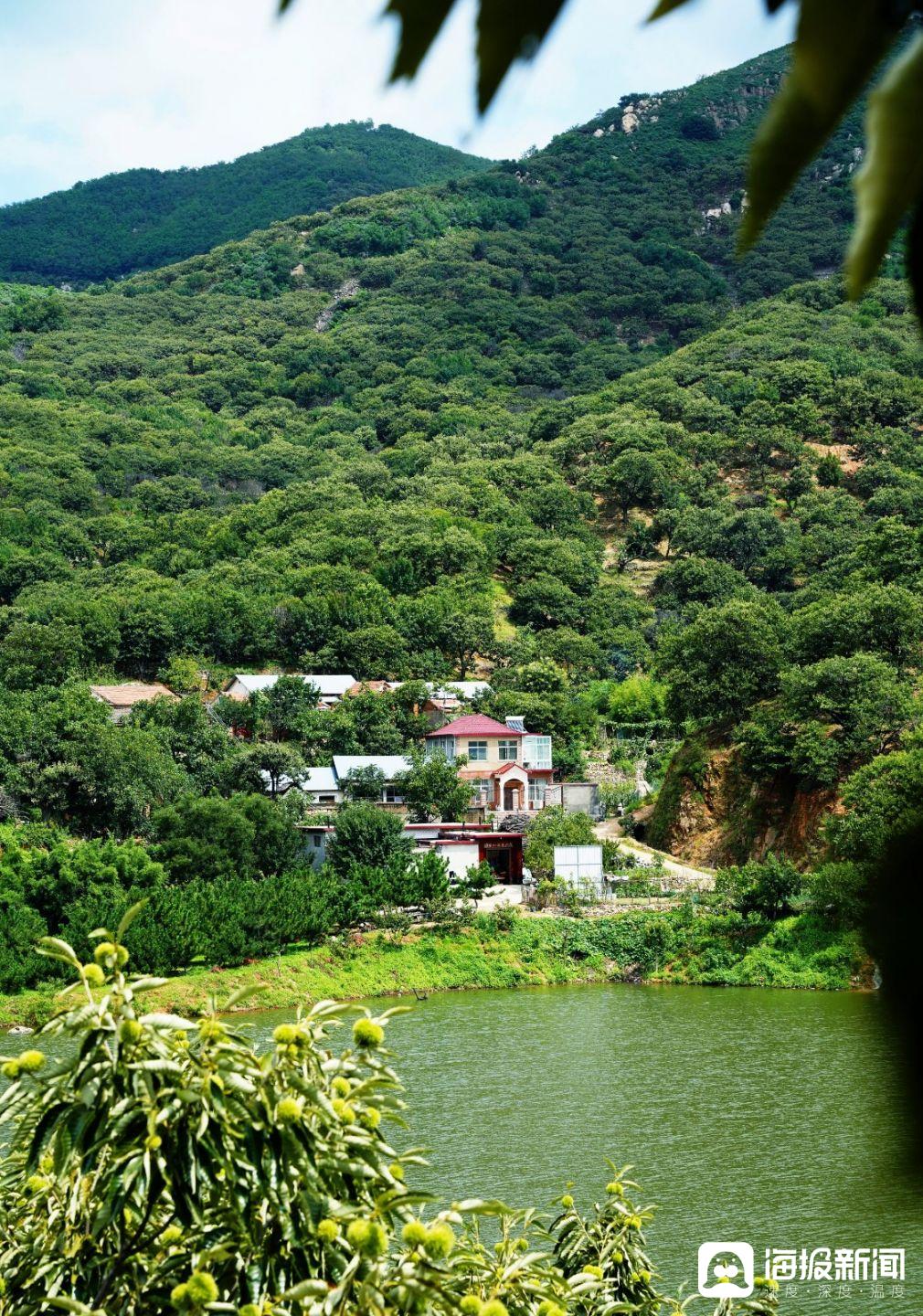 绿水青山带笑颜石坞村图片