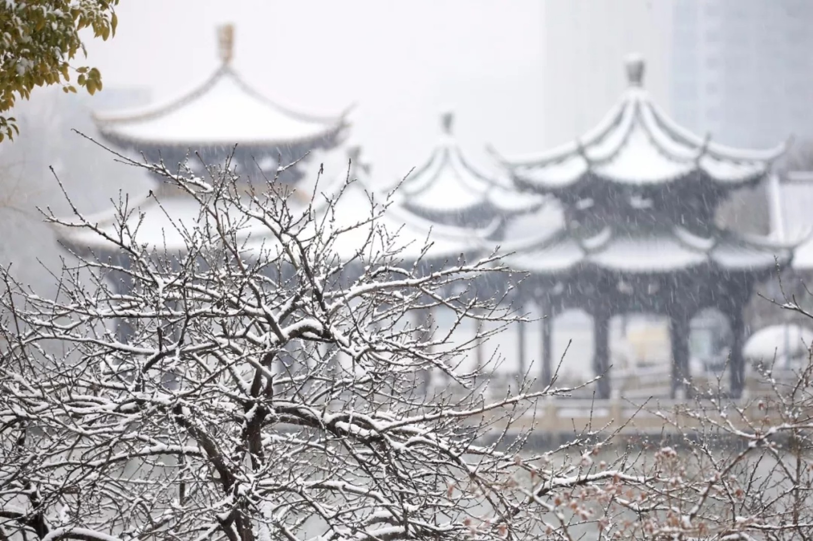 我在南方的寒冬裡大雪紛飛