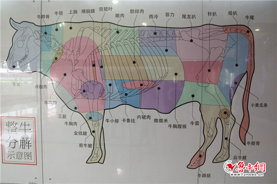 高青黑牛真的"牛 三年养殖周期产品达牛肉最高标准