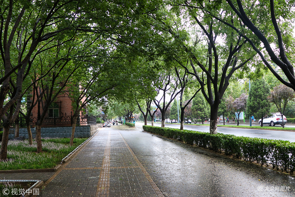 济南迎来暴雨天气雨后马路干净清爽