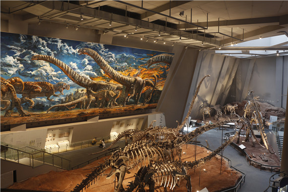 重庆自然博物馆恐龙馆图片