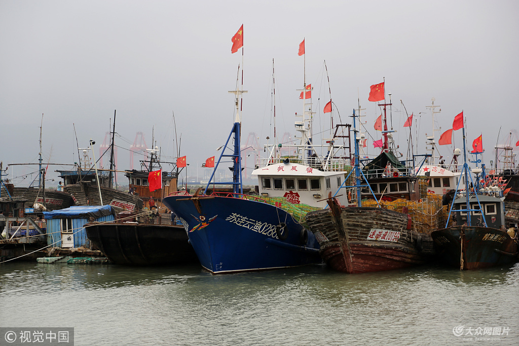 南通东海渔港图片