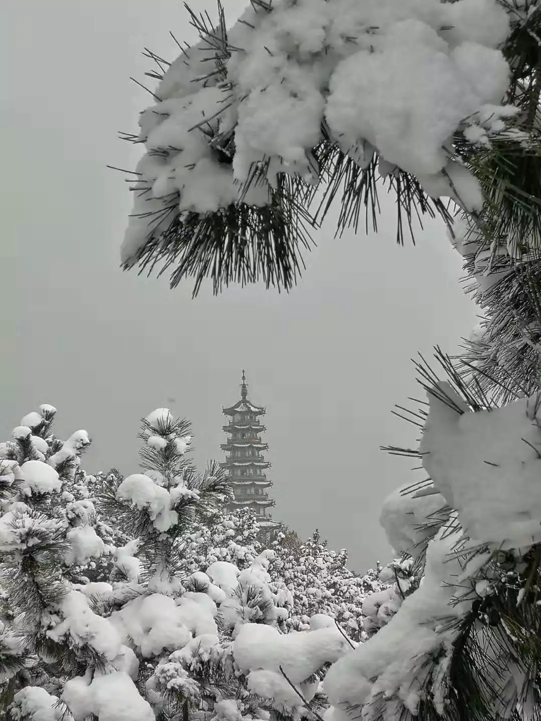 烟台百里雪景图美成童话不负雪窝不负卿