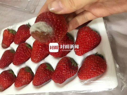 草莓冻坏了的图片图片