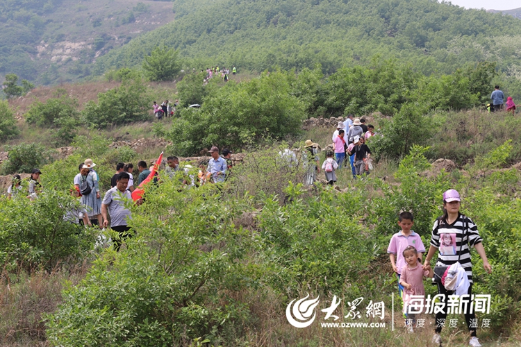 莒县峤山镇梁甫山风光旖旎游客上山撸槐花乐趣无限