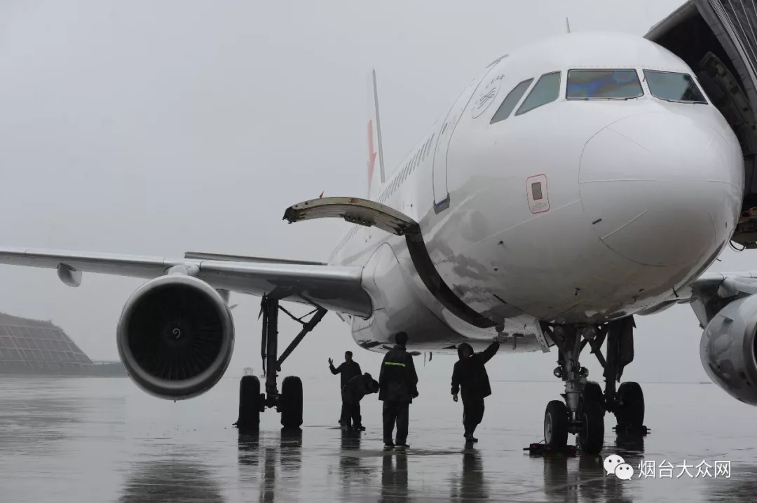 直击:烟台迎战利奇马!海边大浪滔天,树被