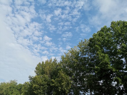 雨過天晴濟南迎來碧空藍朋友圈刷屏走起