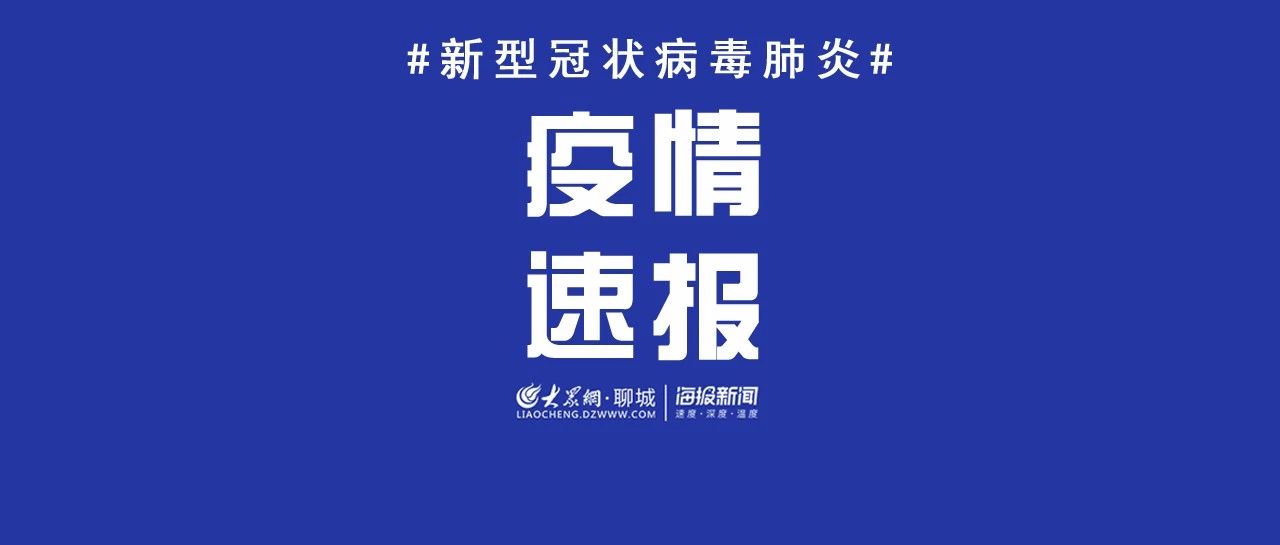 2020年4月11日0时至24时聊城市新型冠状病毒肺炎疫情情况