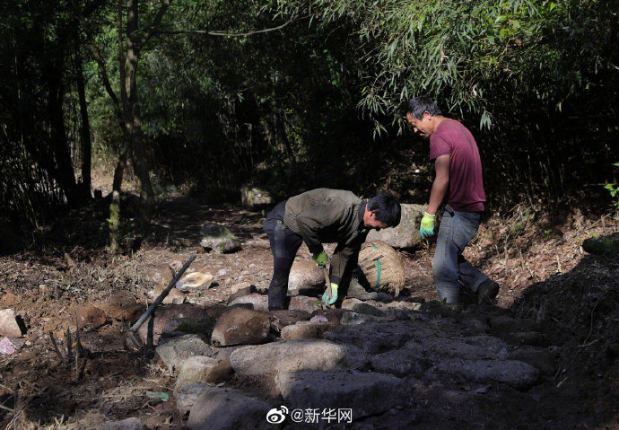 新华网四川修复茶马古道，约吗？