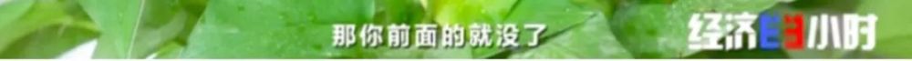 央视财经微信公众号|发500返1000？注意了，这种新骗局专挑孩子下手！