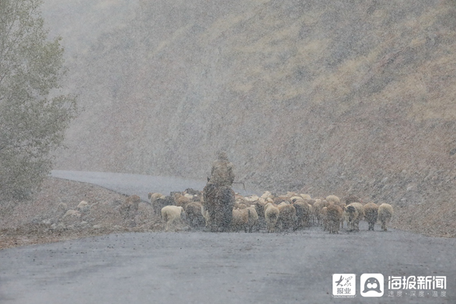 【外交部网站】鄂托克赛尔河谷上流迎来初雪