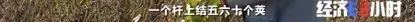 【中新经纬】猛涨1000多元！过去的“饲料”，现在卖爆了