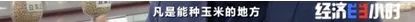 央视财经微信公众号|猛涨1000多元！过去的“饲料”，现在卖爆了