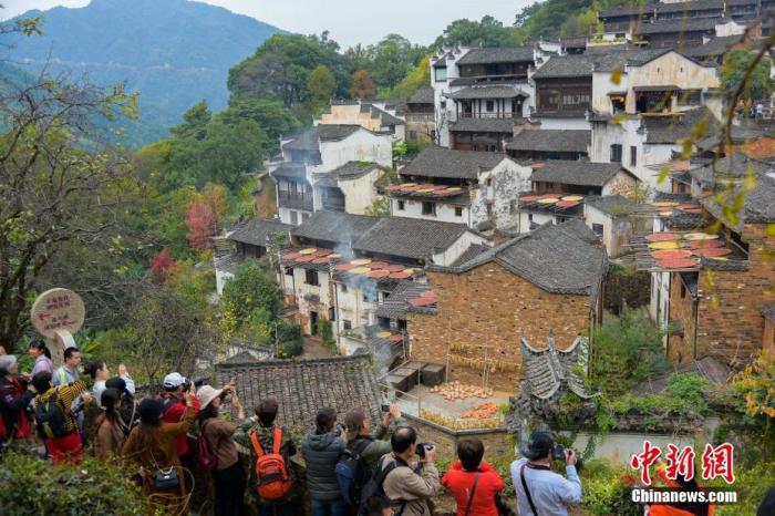 中国新闻网|“立冬”美食图谱：吃饺子、炖猪蹄、存大白菜