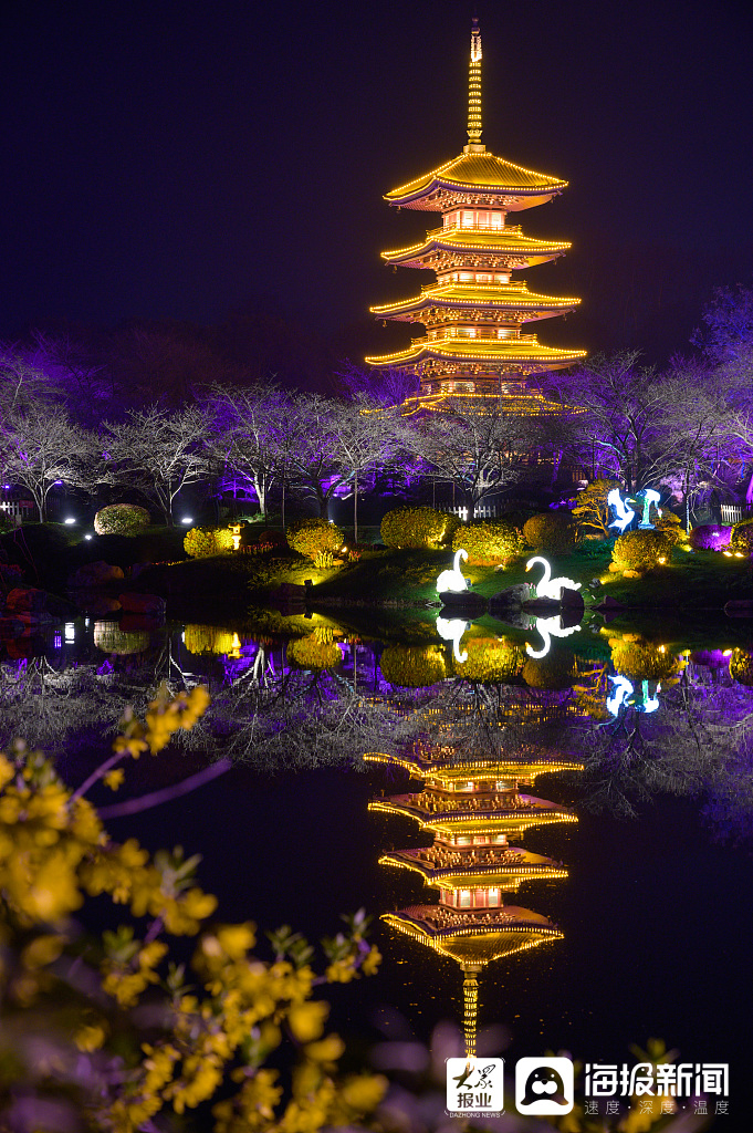 实拍武汉东湖樱园夜景流光溢彩