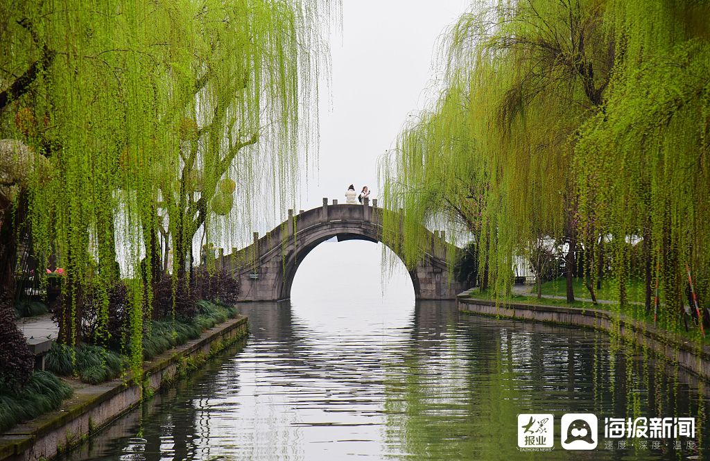 2021年3月8日,杭州仍是阴雨天气,西湖景区杨柳青青,景色宜人