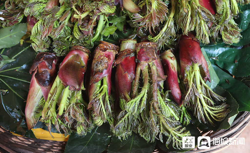 2021年3月9日,雲南省昆明市,各類可食用山茅野菜成為昆明農貿市場上