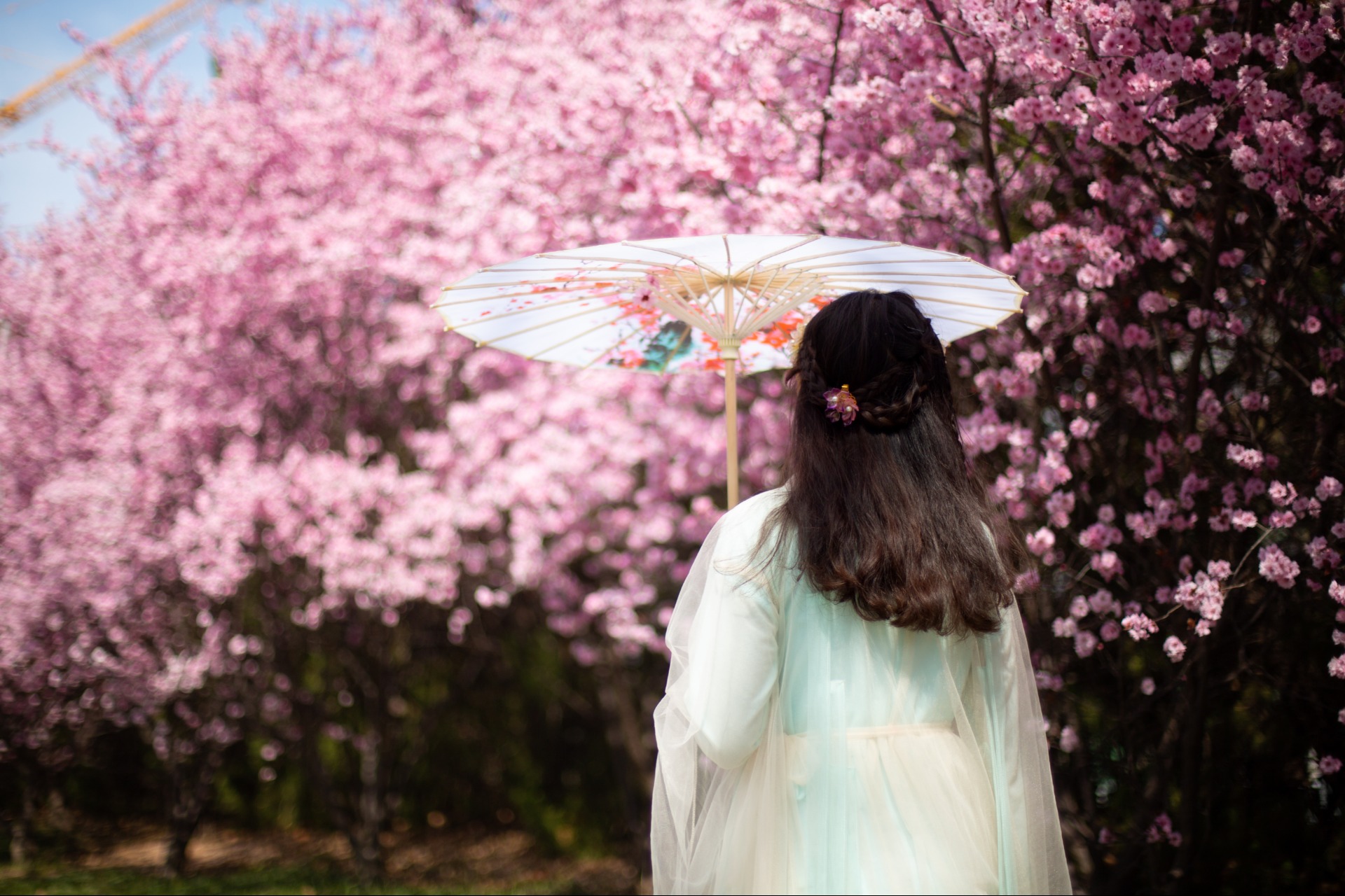 当汉服遇见樱花,原来可以这么美!