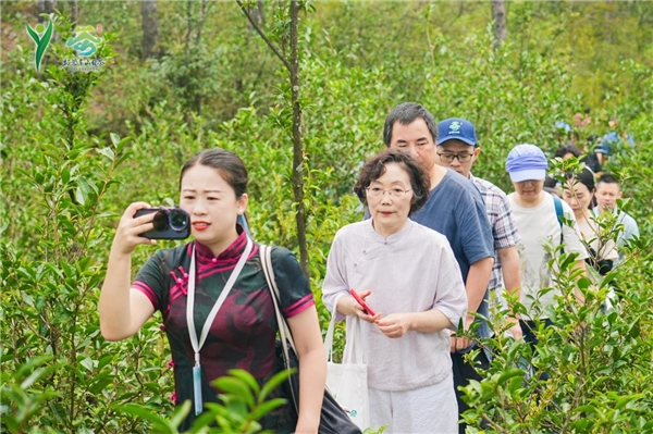 第二届茶人榜样大会暨柘荣高山白茶推介会在福建柘荣县举行