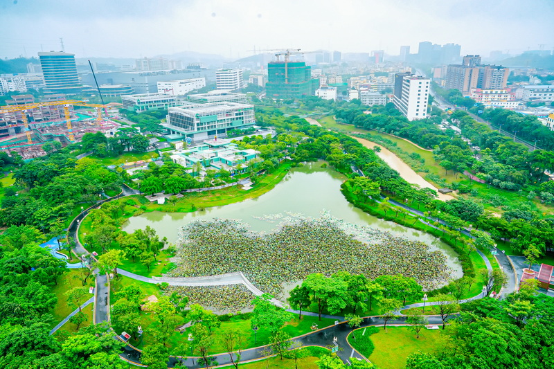 深圳龙岗立潮头，高质量发展正扬帆