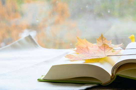 一本打开的书躺在一条白毛巾上. 书上有秋天的枫叶. 概念教育、秋季考试