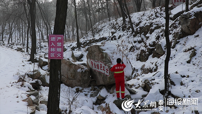 【中国梦·泰安年】新春走基层:我陪大山过新年 新泰市太平山林场里的