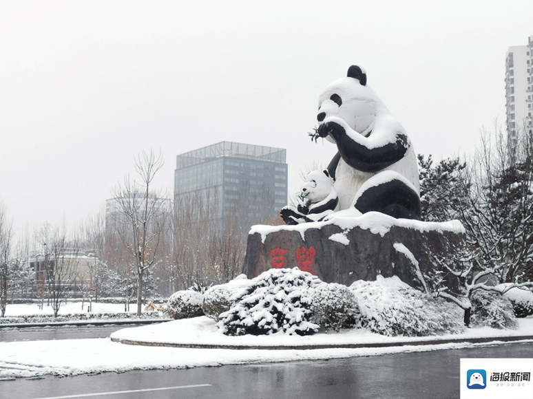 北京熊猫环岛老照片图片