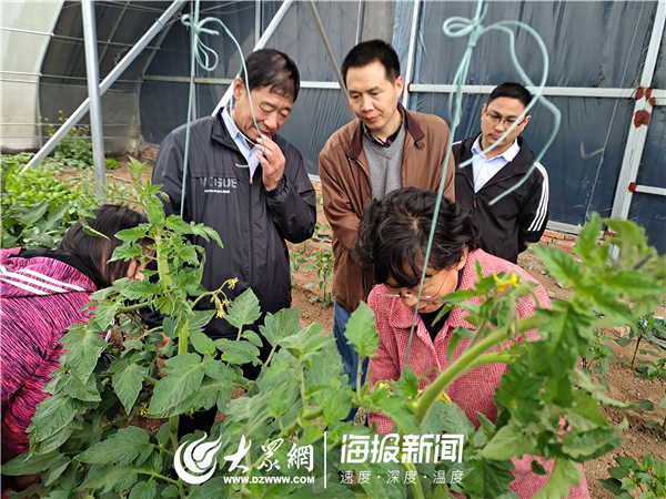 [大众网·海报新闻]齐鲁工业大学（省科学院）助力广饶县大王镇乡村振兴