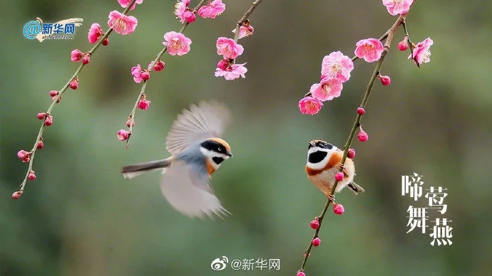 靜下心來賞讀幾首關於穀雨的古詩詞