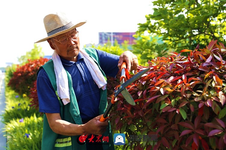 致敬绿化工人图片