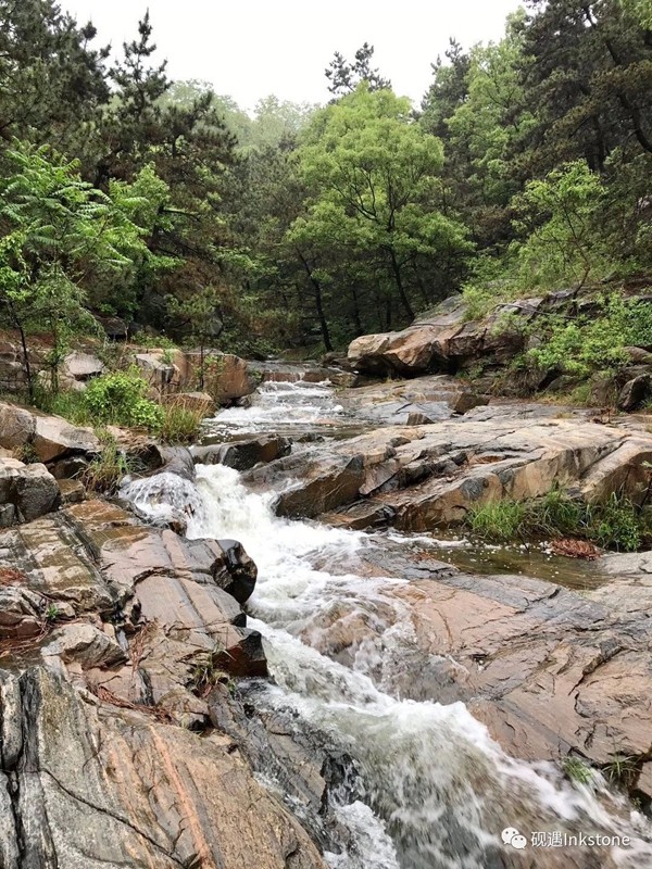 大众网·海报新闻雨雾五彩山