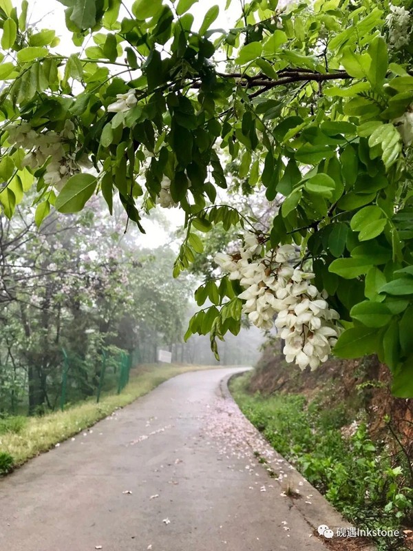 大众网·海报新闻雨雾五彩山