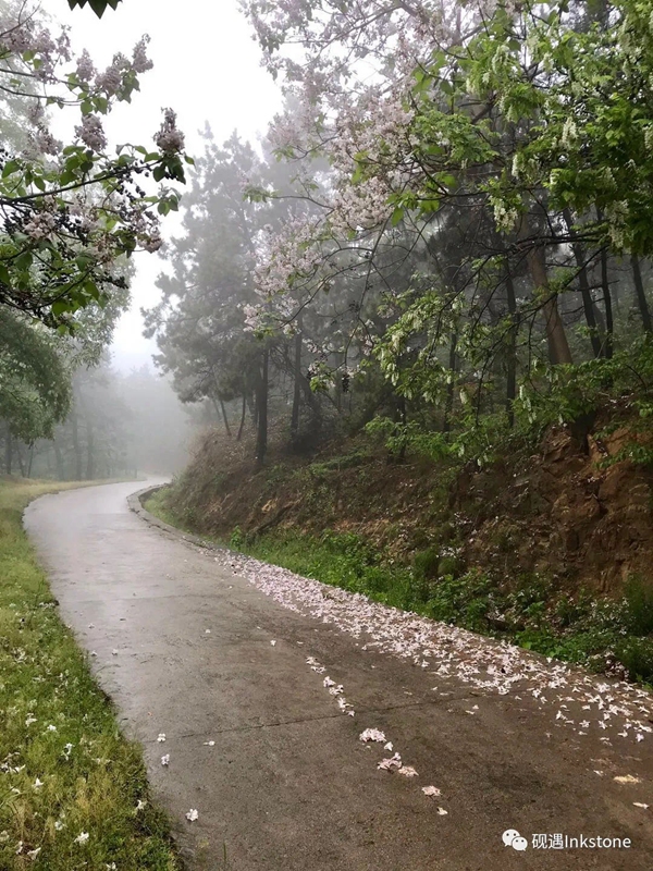 大众网·海报新闻雨雾五彩山