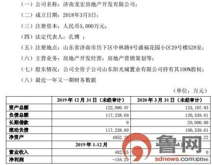 鲁网一季度公司营业收入零元，山东阳光城旗下公司未进行设计招标遭罚