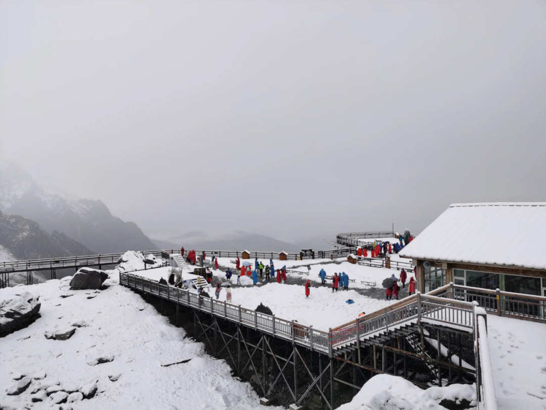 人民日报客户端云南频道|雪山蜘蛛人每天运1吨粪便下山，身后是万丈深渊