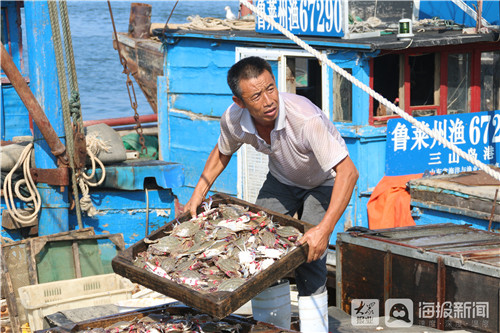 渔船满载而归 开海"第一网"备受莱州市民欢迎