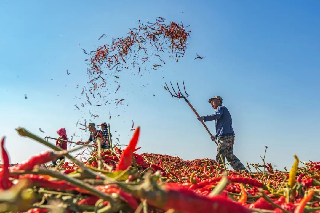 人民日报客户端|14亿中国人的丰收地图