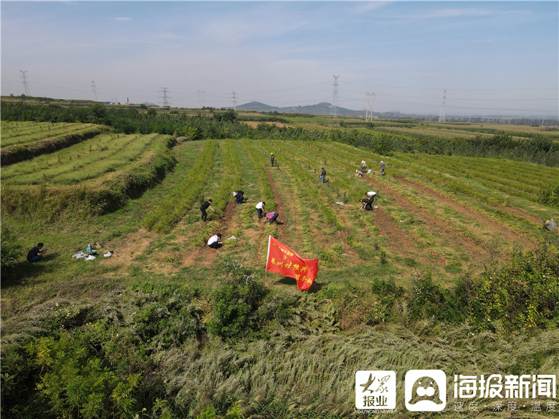 冯英剑 烟台报道 为响应"万名干部下基层"号召,乡村振兴莱州程郭镇