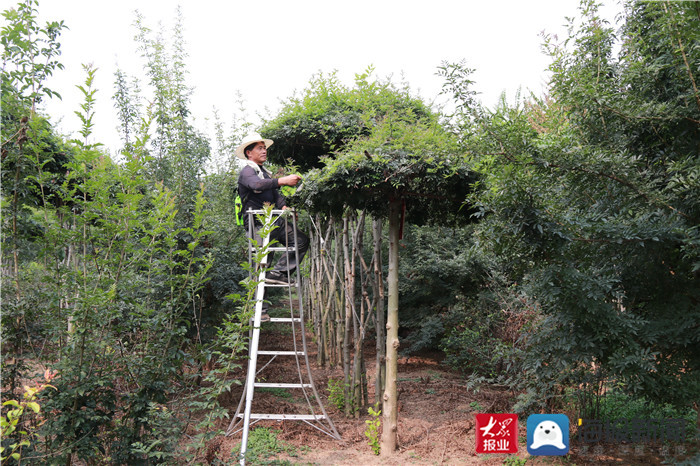 宁阳面积人口_宁阳建成面积图