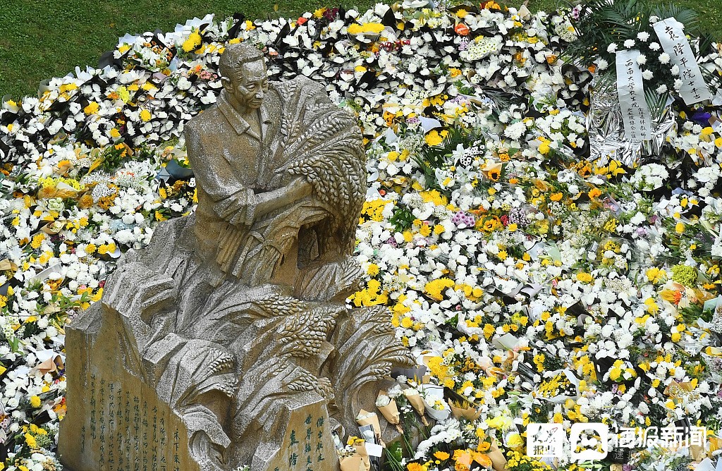 重庆:西南大学袁隆平院士雕像被鲜花环绕