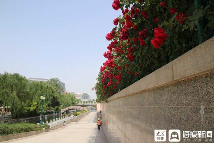 明后天济南还有雨强对流天气持续上线 小董报天气 大众网